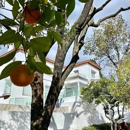 Apartment Nuevo Los Almendros 202 Complejo Turistico *